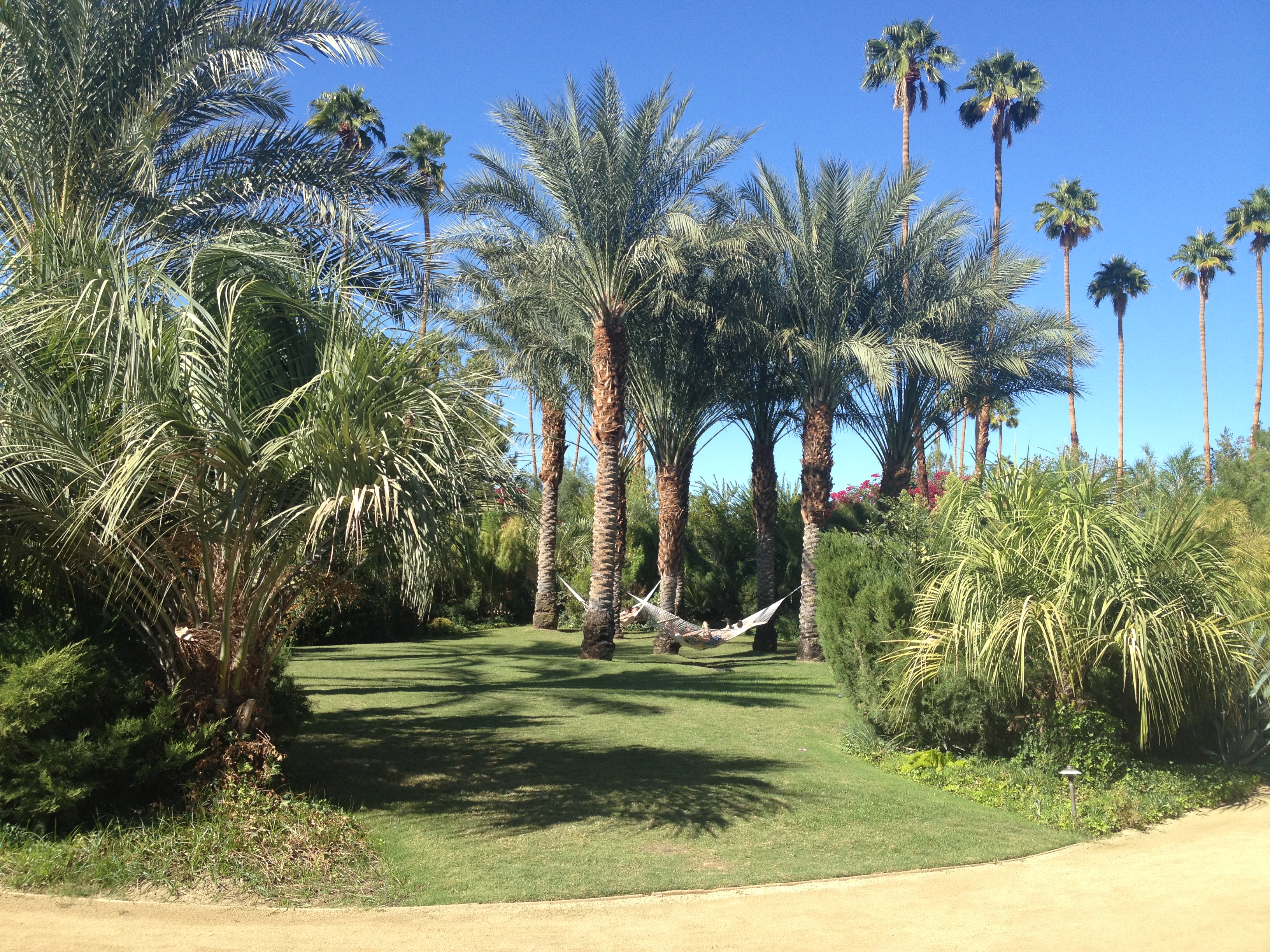 Palm Springs Hotels * Palm Springs Hotels CA * Palm