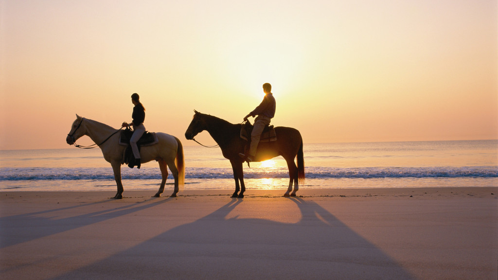 Horseback Riding Cabo LX Expedia