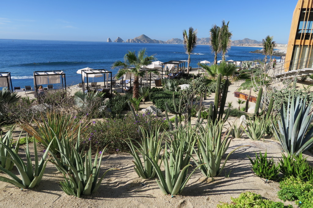 Hotel Grounds The Cape in Cabo